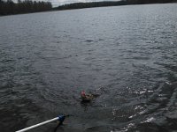 2014-05-10 14-01-24 1399719490